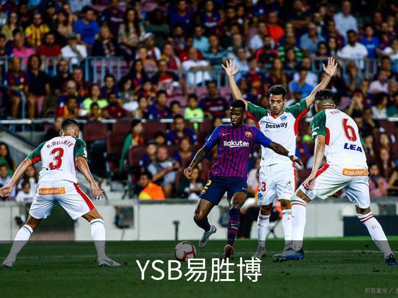 YSB易胜博介绍